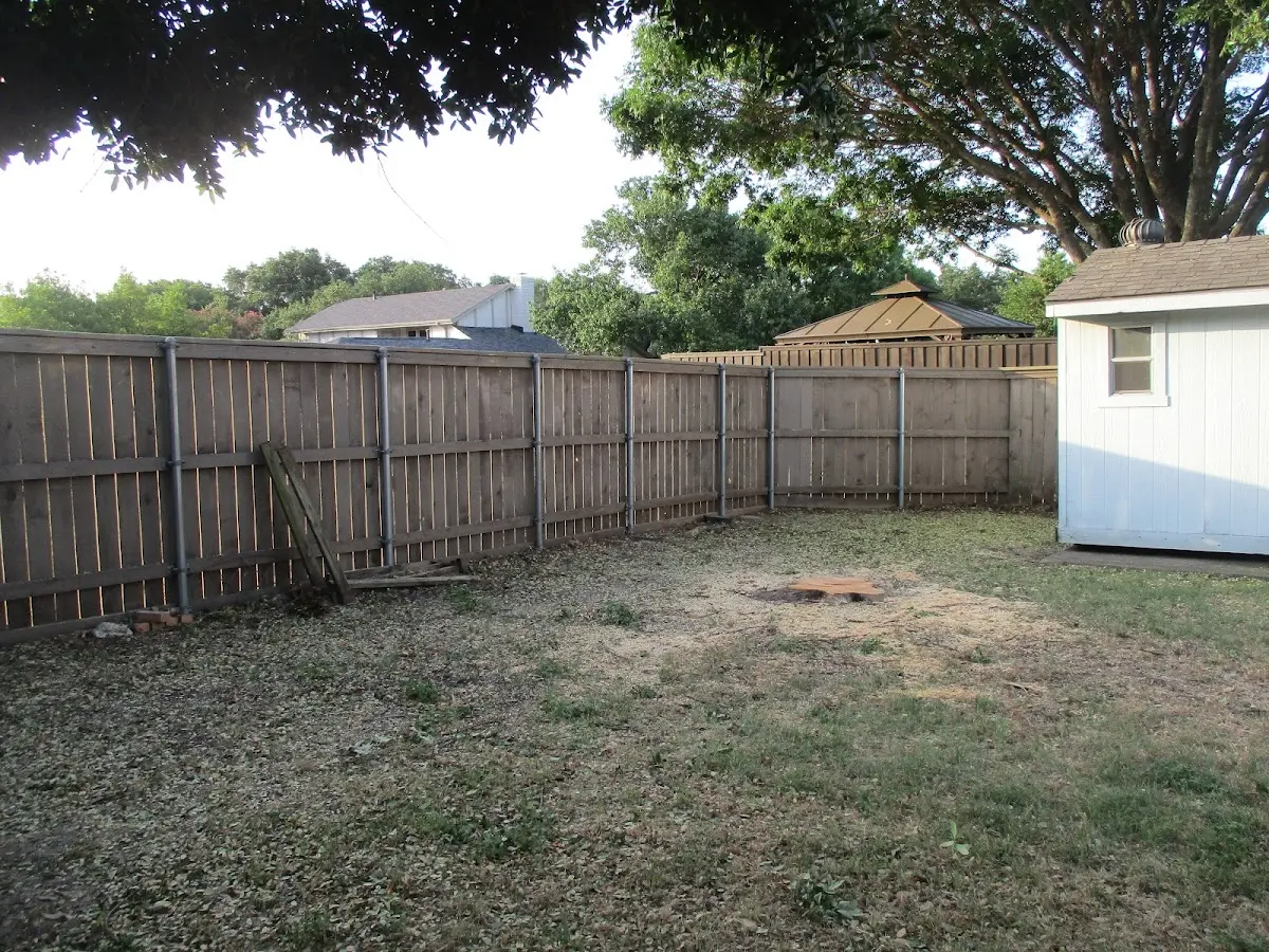Cleared yard after professional tree removal in Prestonsburg